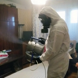 Дезинфекция от клопов в Белоозёрском