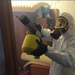 Уничтожение клопов в квартире. Белоозёрский